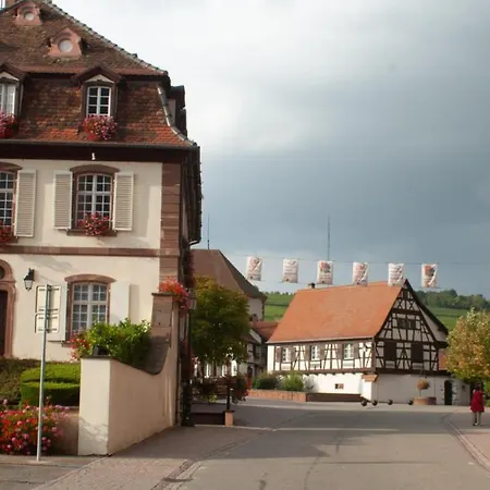 De 80 M2 Avec Balcon & Cour Alsacienne - Debut Route Des Vins * Marlenheim