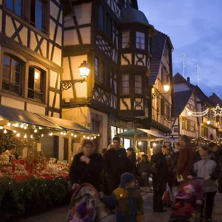 Διαμέρισμα De 80 M2 Avec Balcon & Cour Alsacienne - Debut Route Des Vins *