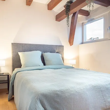 Alsacien Lumineux Dans Un Corps De Ferme Renove, Avec Balcon Sur Les Vignes, 2 Queen Et Parking Prive Apartmán *