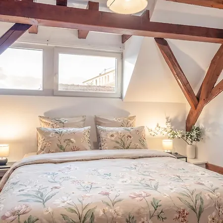 Apartmán Alsacien Lumineux Dans Un Corps De Ferme Renove, Avec Balcon Sur Les Vignes, 2 Queen Et Parking Prive *