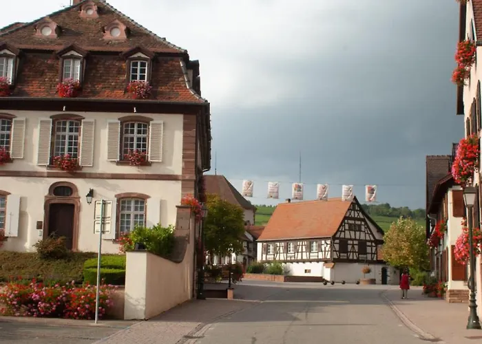 De 80 M2 Avec Balcon & Cour Alsacienne - Debut Route Des Vins * Marlenheim